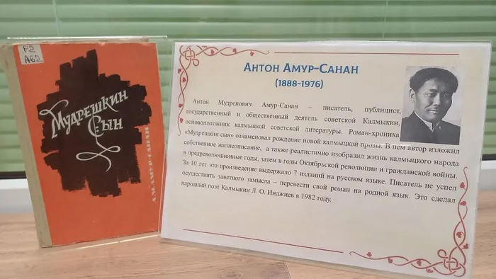 Книга А.Амур-Санана Мудрёшкин сын