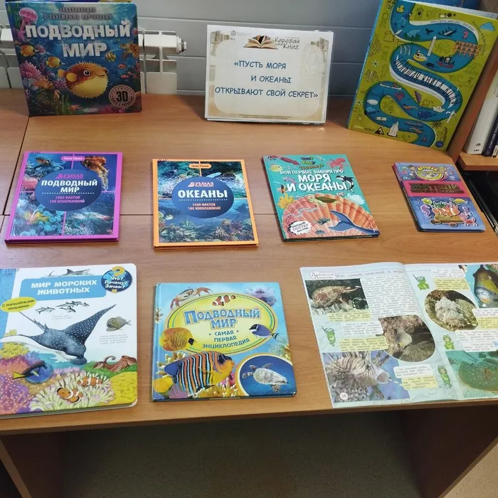 Выставка новых книг к Всемирному дню моря