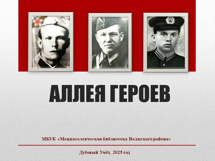 Аллея Героев. Информационное досье