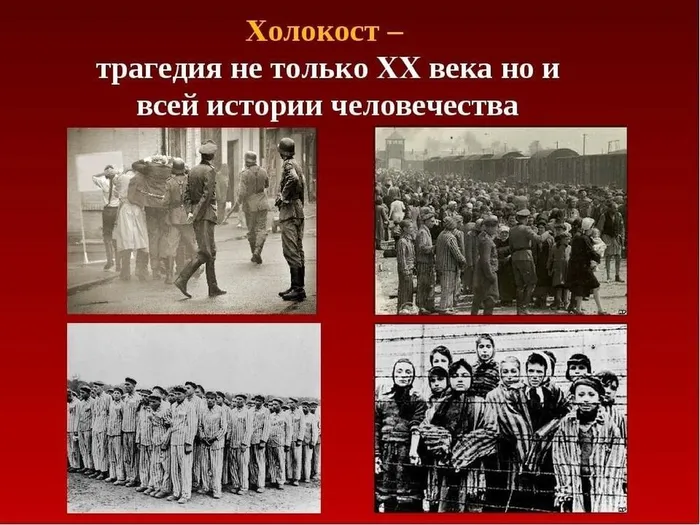 jEQyi49IzwA