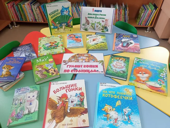 Книжная выставка к Дню кошек